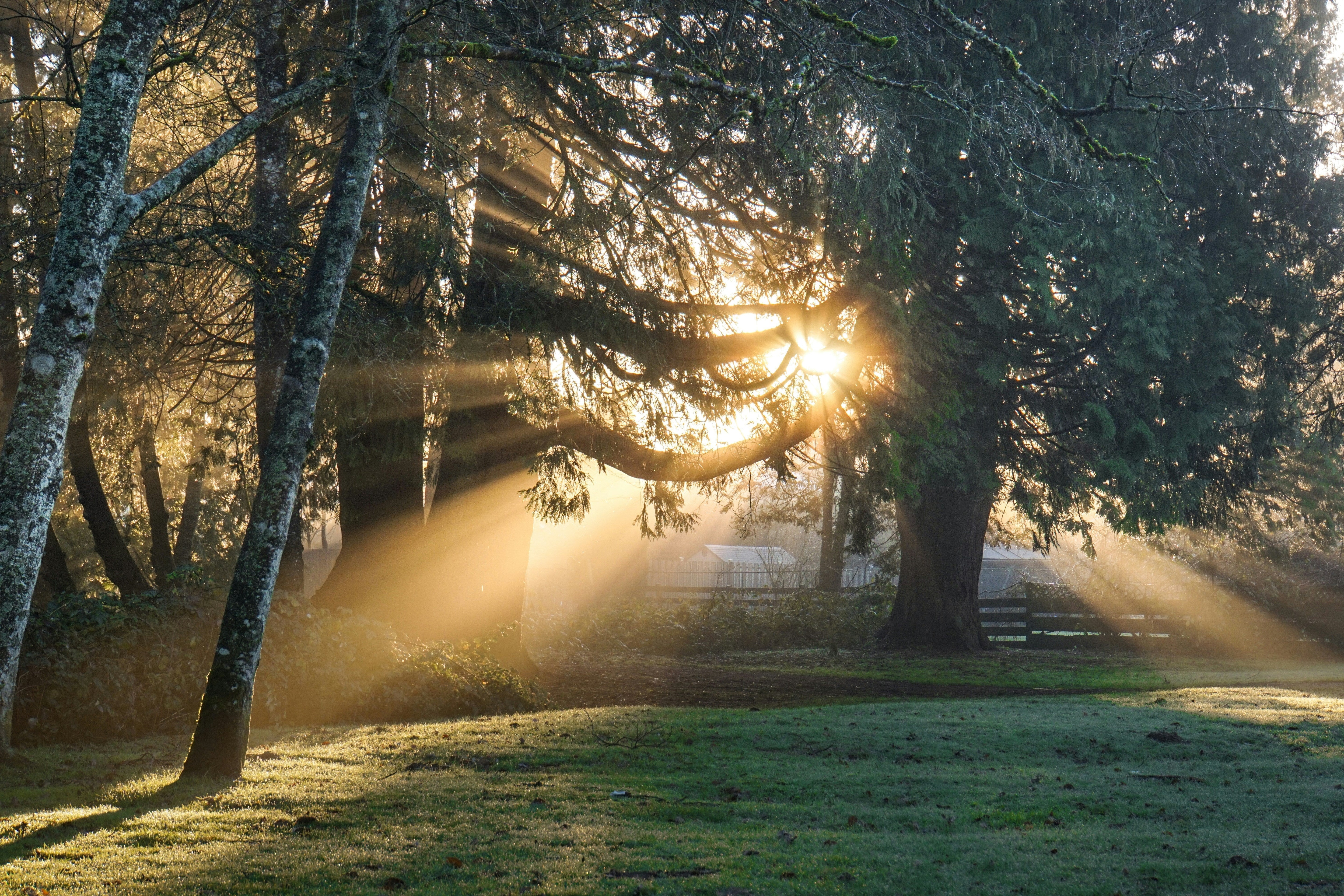 Holding Space, The Deep Breath Moments