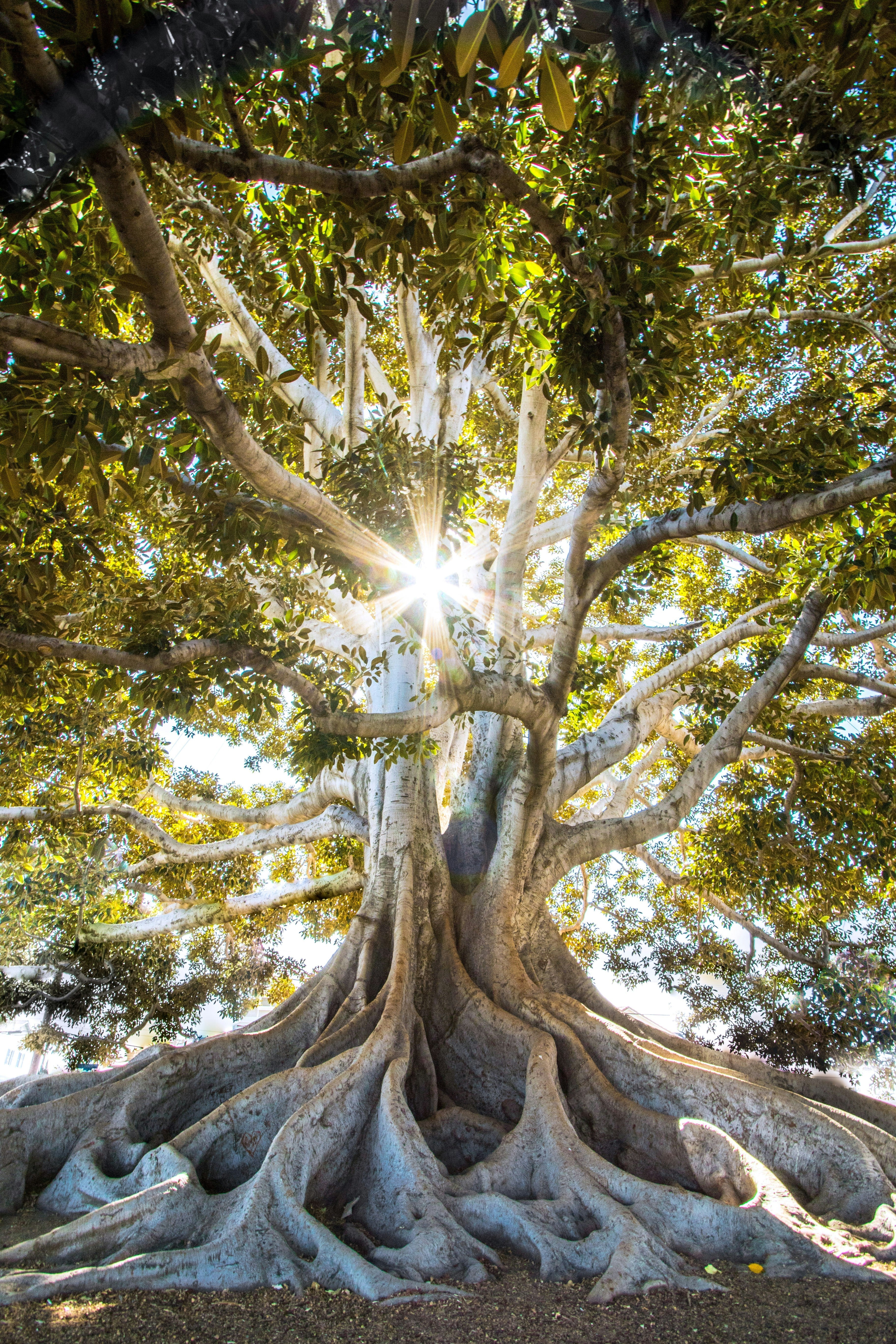 The Art of Slowing Down: Why Your Nervous System Needs a Seasonal Reset
