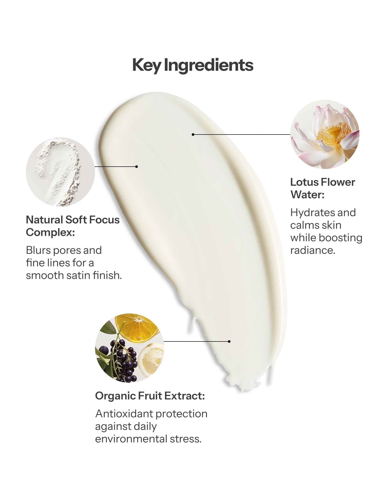 Lotus Primer