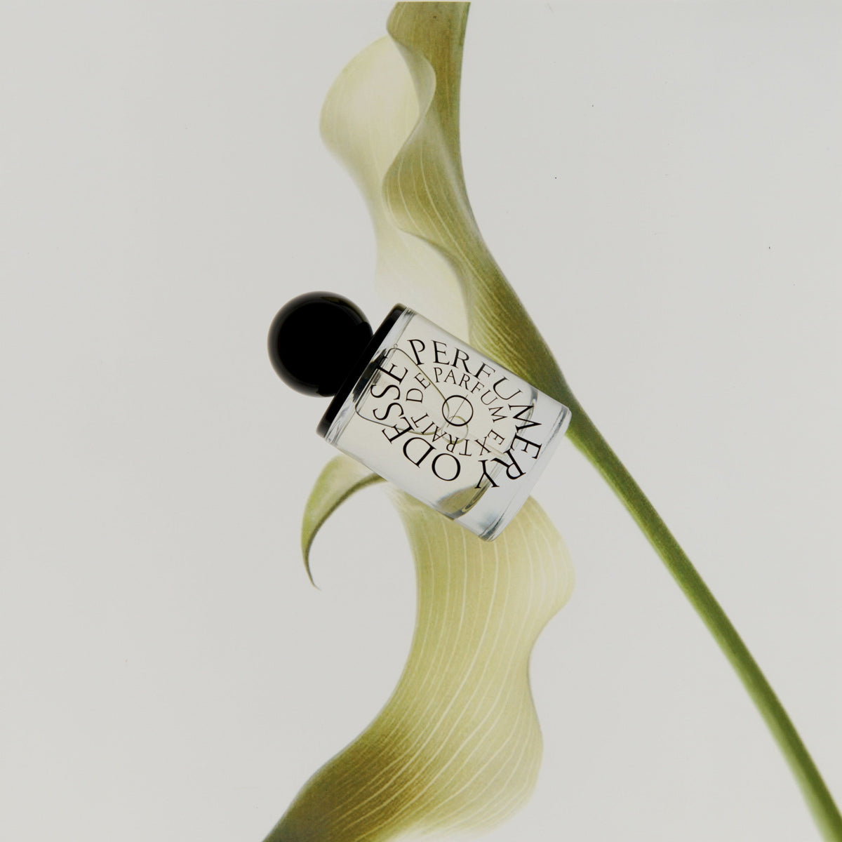Morning Skin Extrait de Parfum calma spa skin clinic armadale melbourne natural fragrance new odesse 