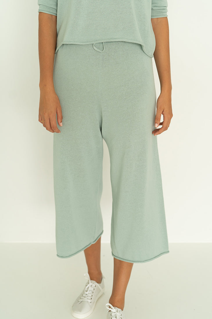 HUMIDITY Traveller Pant (pistachio)